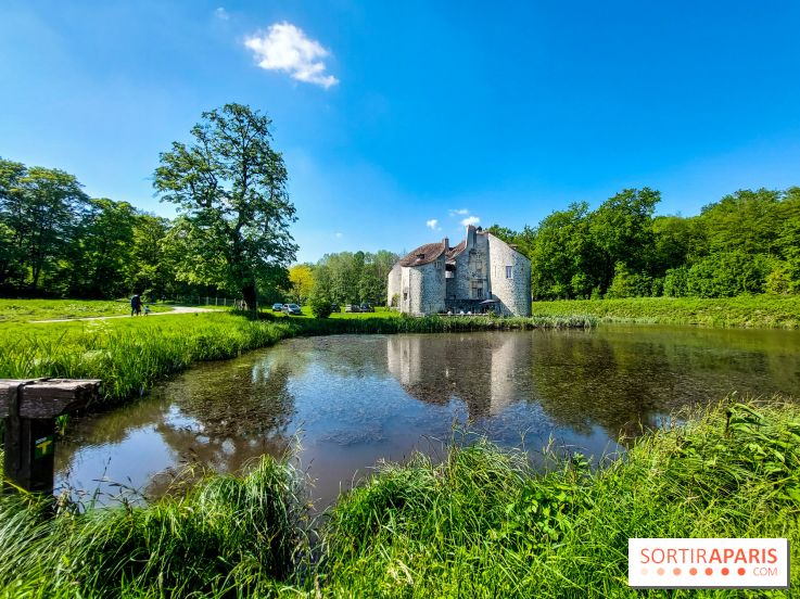 Balade nature dans la forêt de Montmorency, nos photos