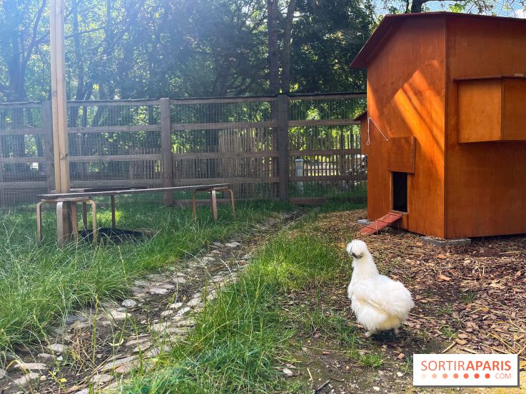 La ferme de la Villette et ses animaux