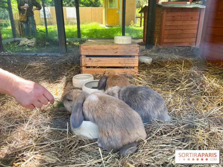La ferme de la Villette et ses animaux