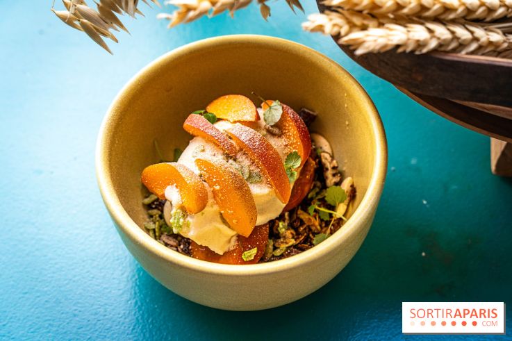 Glace insolite : la glace pain au chocolat de Sain -  A7C7851