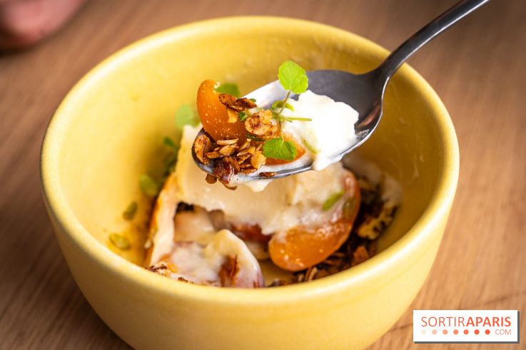 Glace insolite : la glace pain au chocolat de Sain -  A7C7852