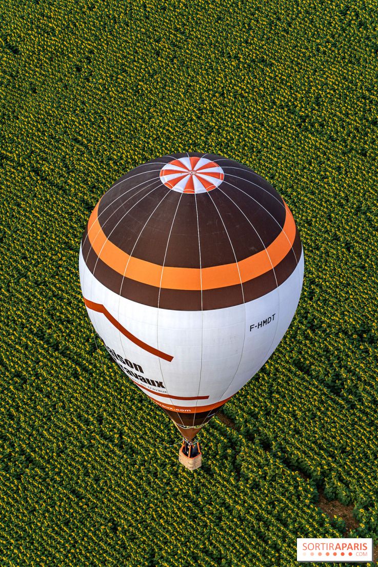 Montgolfière à Fontainebleau, vol au dessus de l'Ile-de-France - A7C9027