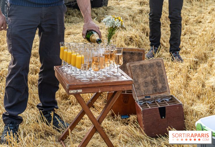 Montgolfière à Fontainebleau, vol au dessus de l'Ile-de-France - A7C9031