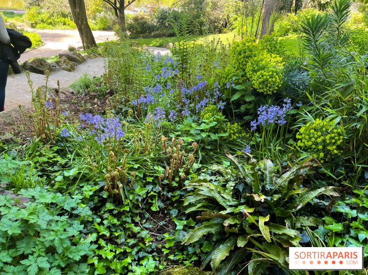 Le parc Kellerman, bijou de verdure dans le 13e arrondissement
