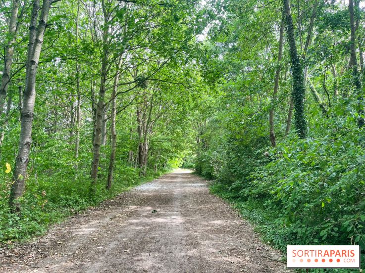 Cergy, la ville aux milles facettes - image00136