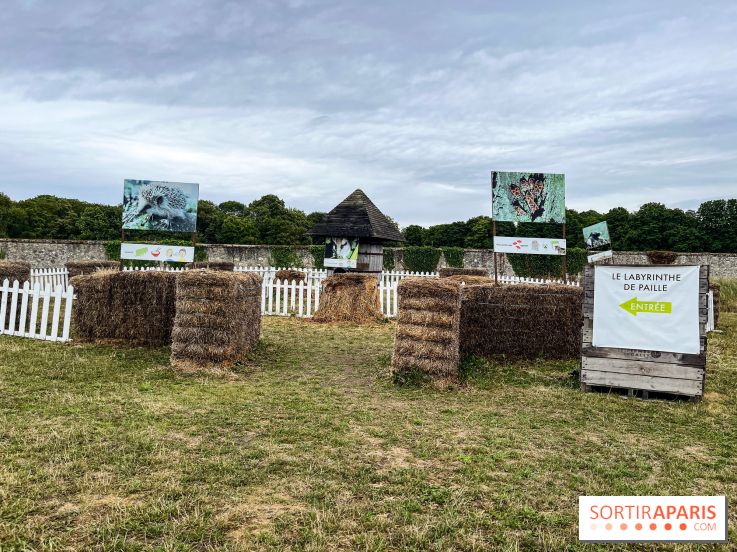Les labyrinthes de Gally 2023 - image00009