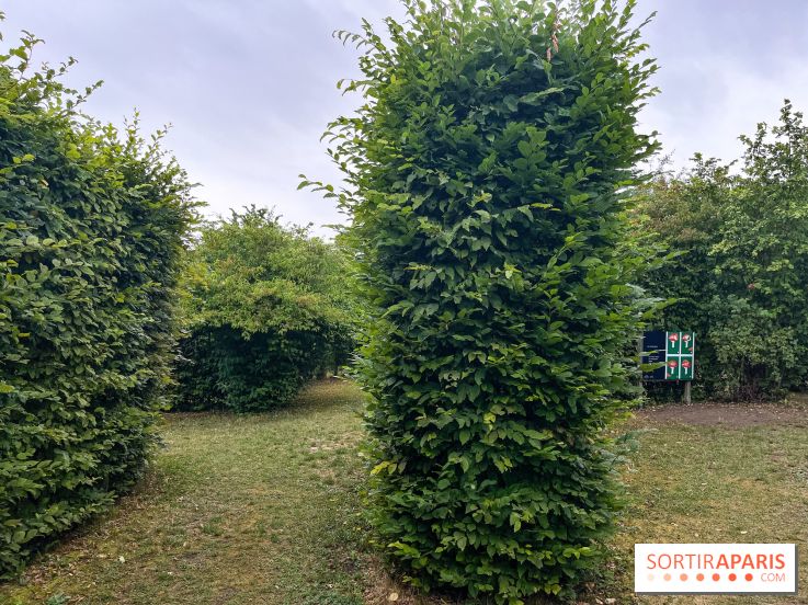 Les labyrinthes de Gally 2023