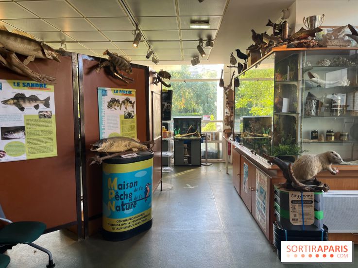 La Maison de la Pêche et de la Nature - image00027