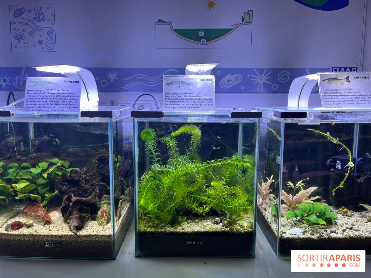 La Maison de la Pêche et de la Nature