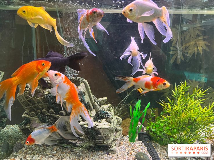 La Maison de la Pêche et de la Nature