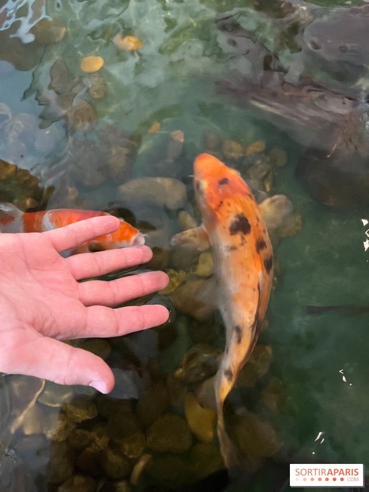 La Maison de la Pêche et de la Nature - image00001