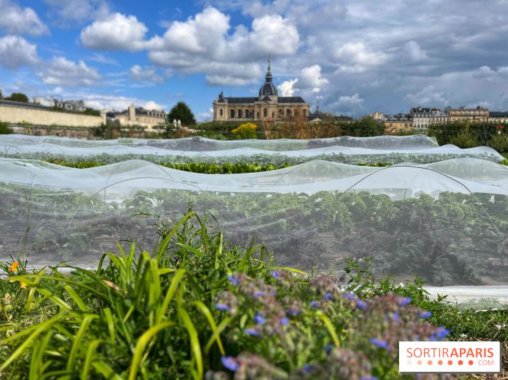 Potager du Roi