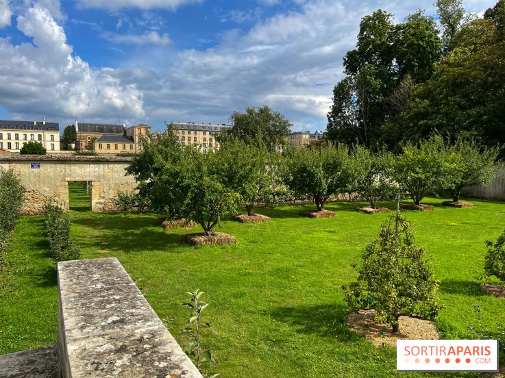 Potager du Roi - IMG 4240