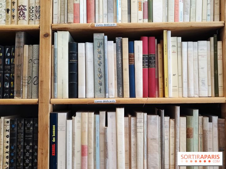 Librairie Vignes - 154601