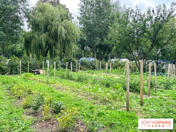 Les Rives de Paris, l'unique camping du 93 à Neuilly-sur-Marne - image00066