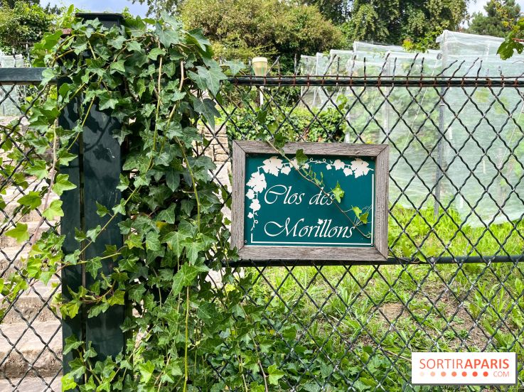 Le parc Georges Brassens, pour se croire à la campagne dans le 15e - image00030