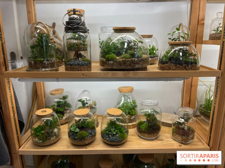 Boby la Plante - IMG 4334