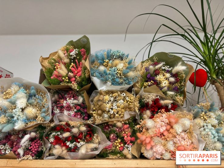 Boby la Plante - IMG 4353