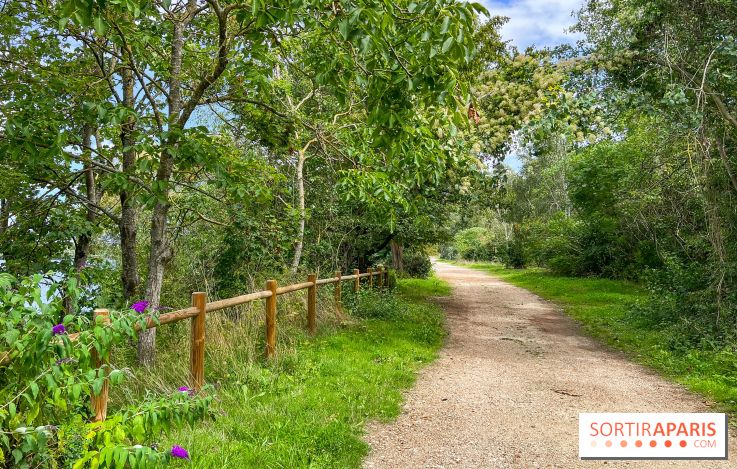 L'étang de la Galiotte dans le parc du Peuple de l'Herbe - Carrières-sous-Poissy (Yvelines) - image00021