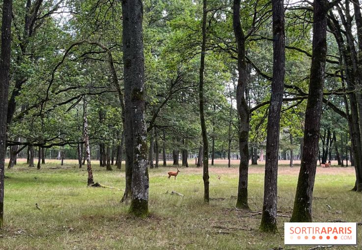 Espace Rambouillet - IMG 4375