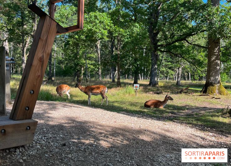 Espace Rambouillet - IMG 4417