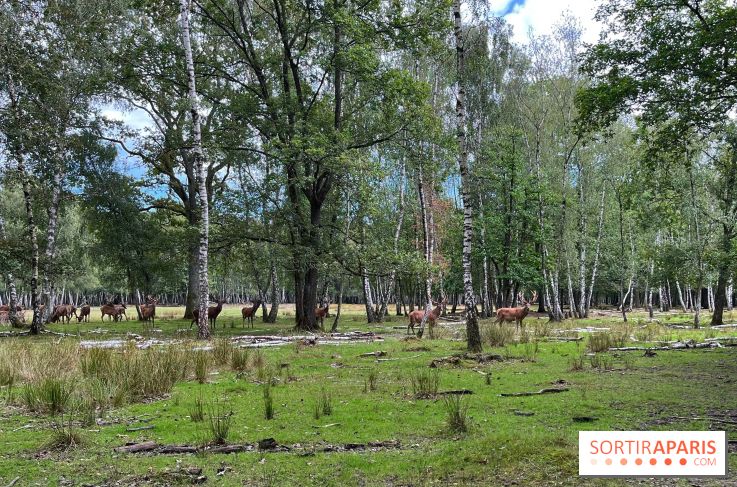 Espace Rambouillet - IMG 4529