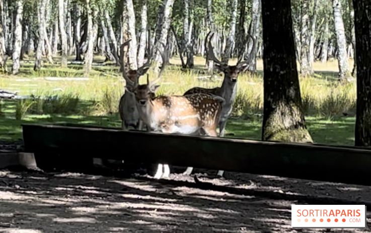 Espace Rambouillet - IMG 4544