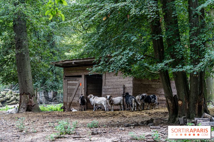 Le village de Janvry en Haute Vallée de Chevreuse  -  A7C9991