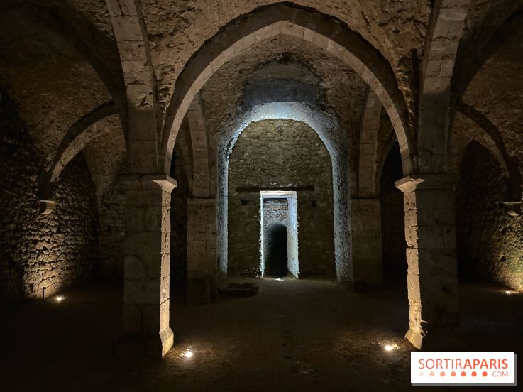 Provins, cité médiévale