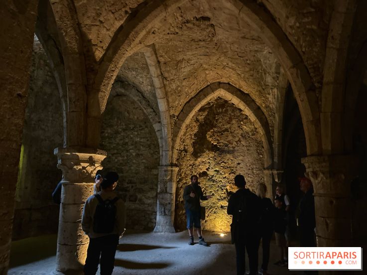 Provins, cité médiévale