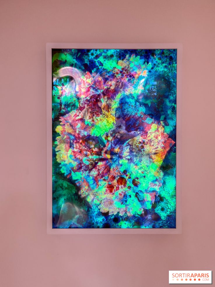 Poetry of Earth de Maya Rochat