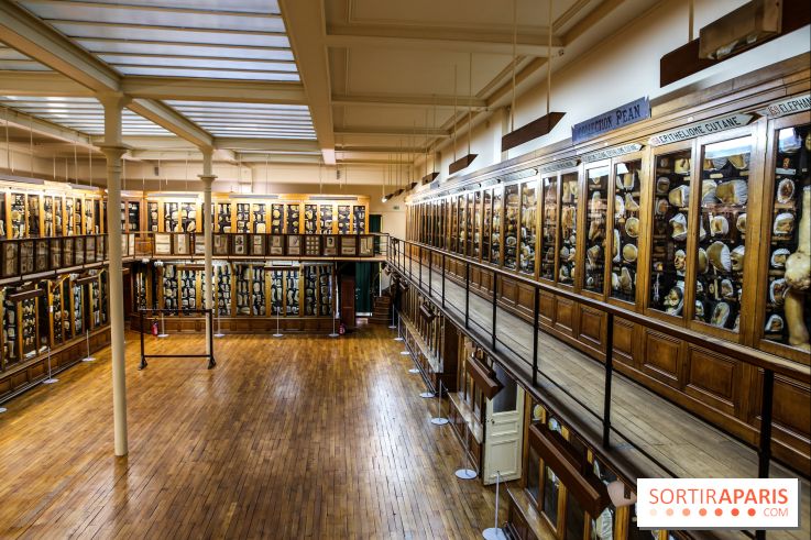 Musée des Moulages à Paris, nos photos - IMG 0826