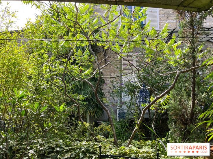 Le Petit Cormier, Montigny-sur-Loing - image00012