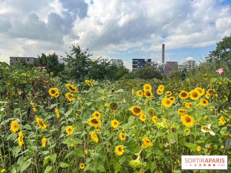 Le Grand Parc des Docks, à Saint-Ouen - image00219