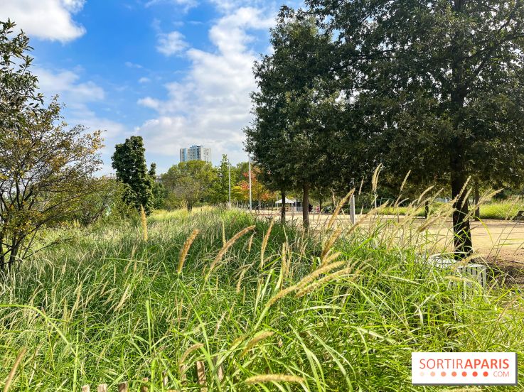 Le Grand Parc des Docks, à Saint-Ouen - image00199