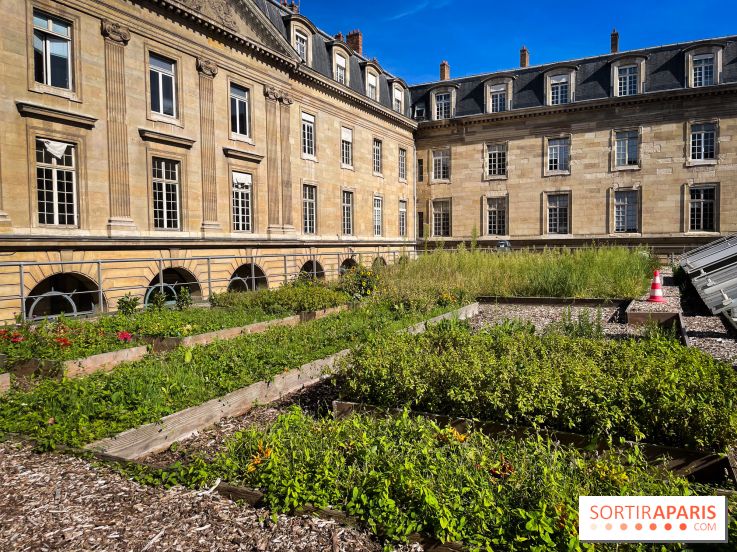Vignoble Hôtel de Ville