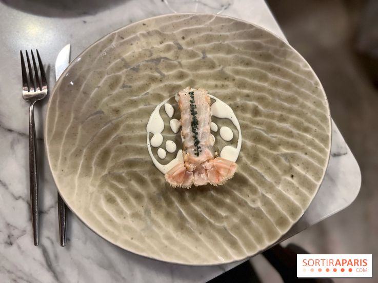 Tracé, Clément Vergeat - Queue de langoustine