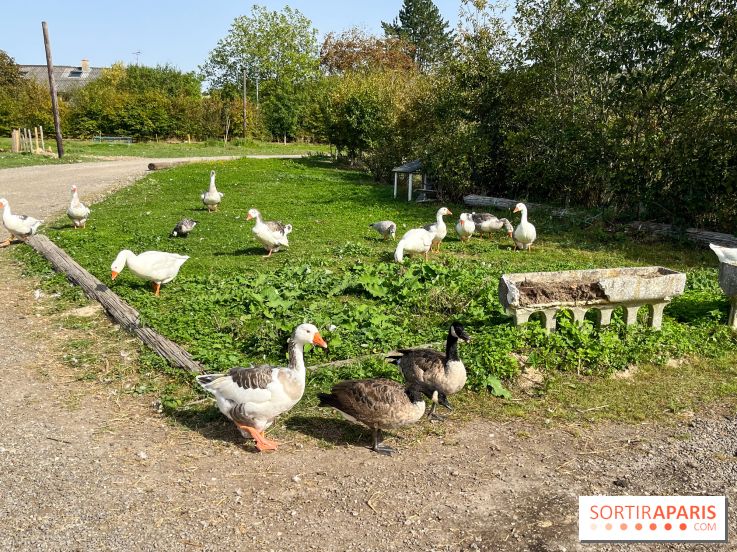 La Ferme des 4 Etoiles à Auffargis