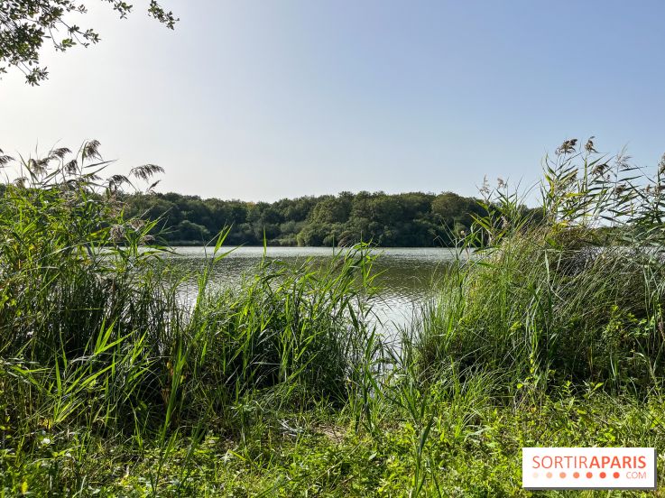 La Ferme des 4 Etoiles à Auffargis - image00007