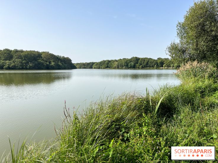 La Ferme des 4 Etoiles à Auffargis - image00009