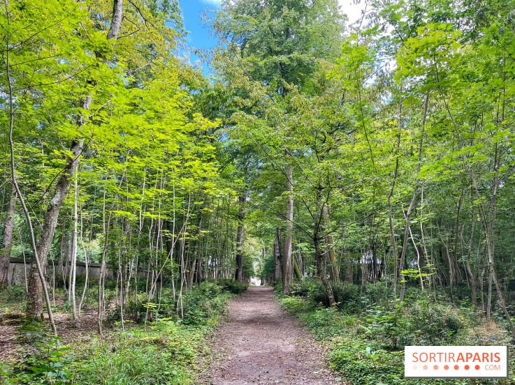 Un week-end le long du Loing, de Montigny-sur-Loing à Thomery