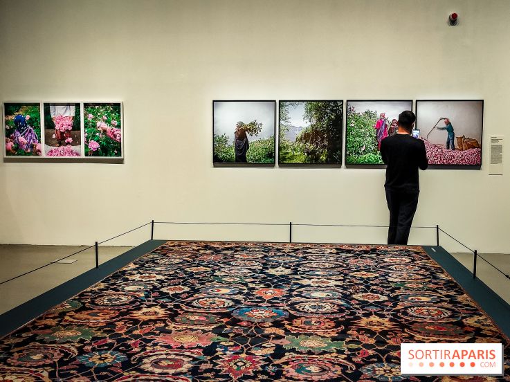 Parfums d'Orient, l'exposition qui enchante nos sens à l'Institut du Monde Arabe - photos