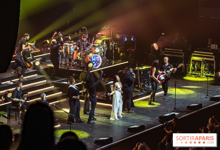 L'Héritage Goldman au Dôme de Paris - Palais des Sports - les photos