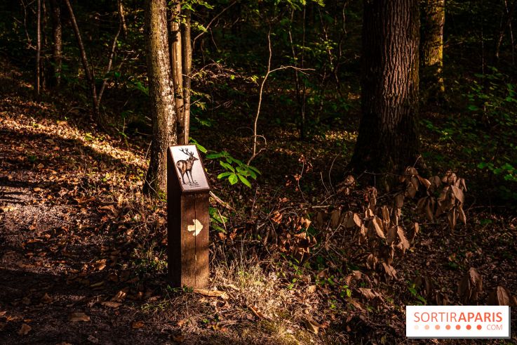 Le sentier des Maréchaux à Senlisse - Vallée de Chevreuse - panneau faune flore