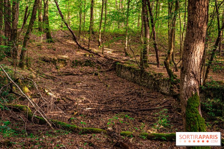 Le sentier des Maréchaux à Senlisse - Vallée de Chevreuse - ancien abreuvoir