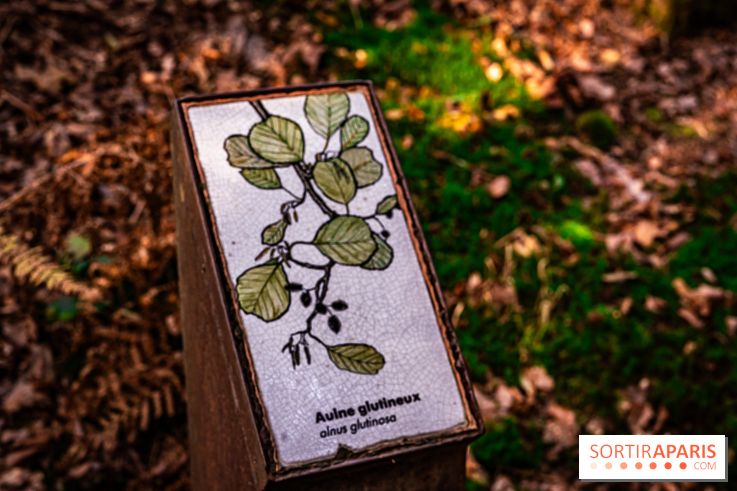 Le sentier des Maréchaux à Senlisse - Vallée de Chevreuse - panneau faune flore