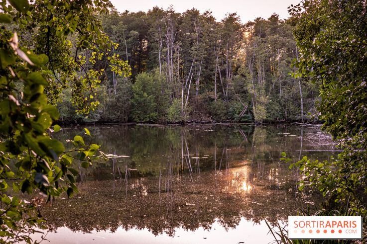 Le sentier des Maréchaux à Senlisse - Vallée de Chevreuse - étang de Cernay