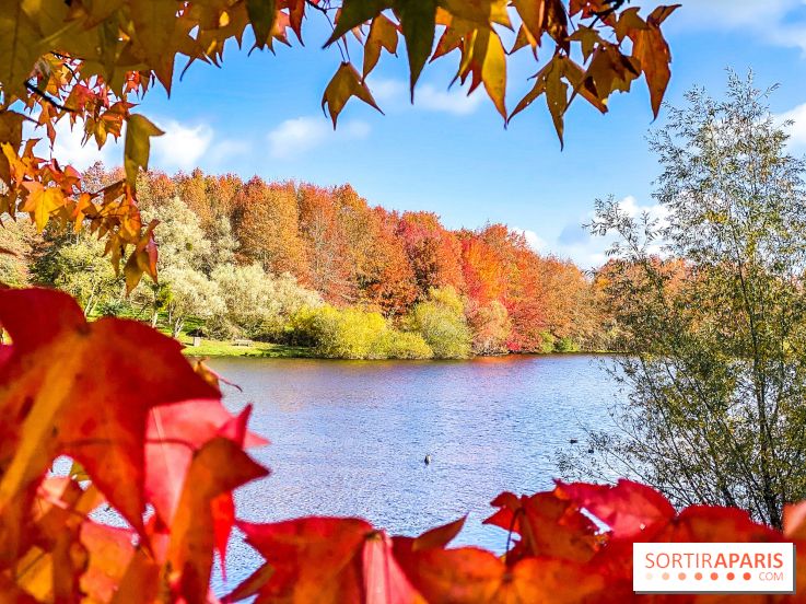 Bassin - étang de la Boissière à Elancourt