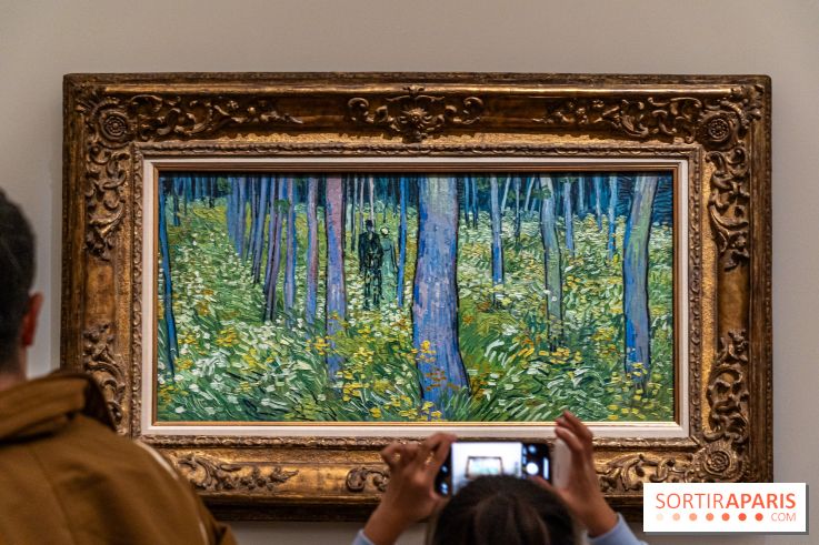 Exposition Van Gogh au Musée d’Orsay - Auvers-sur-Oise, les derniers mois - A7C3124