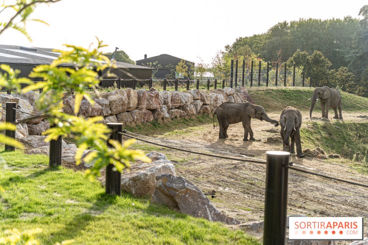 Les lodges de Thoiry - dormir à Thoiry en Terres d'Afrique - Photos -  A7C3291
